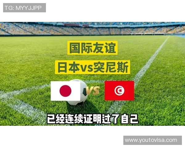 西安羽毛球队防守策略分析及其在比赛中的成效与不足之处