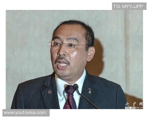 深圳乒乓球队的拼搏历程与荣耀时刻全景回顾