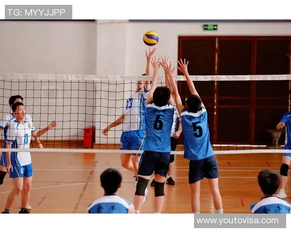 聚焦排球:探讨成都排球队在意识形态与团队文化建设中的重要性与影响 聚焦排球:探讨成都排球队在意识形态与团队文化建设中的重要性与影响