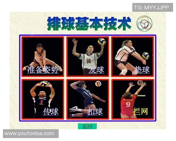 南京排球队的控制打法深度分析与战术解读